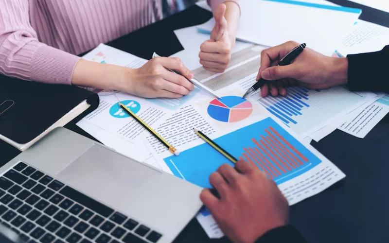 Project Audits & Monitoring and Evaluation