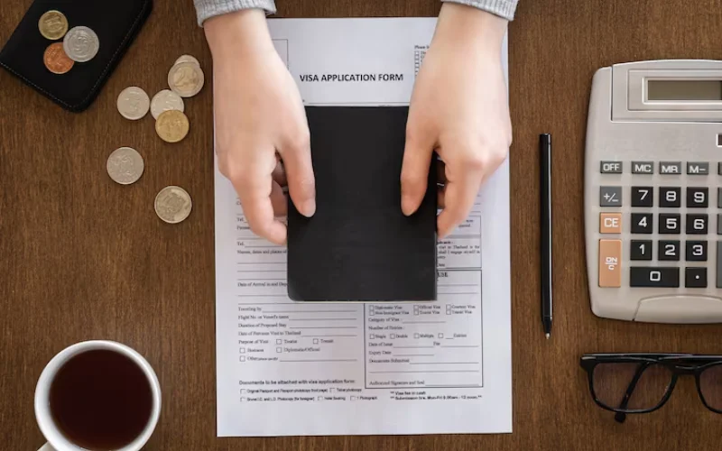 Representation before GST authorities, SCN and appeals including CESTAT